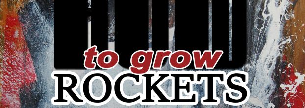 How to Grow Rockets - Pintura de Sara Franco 