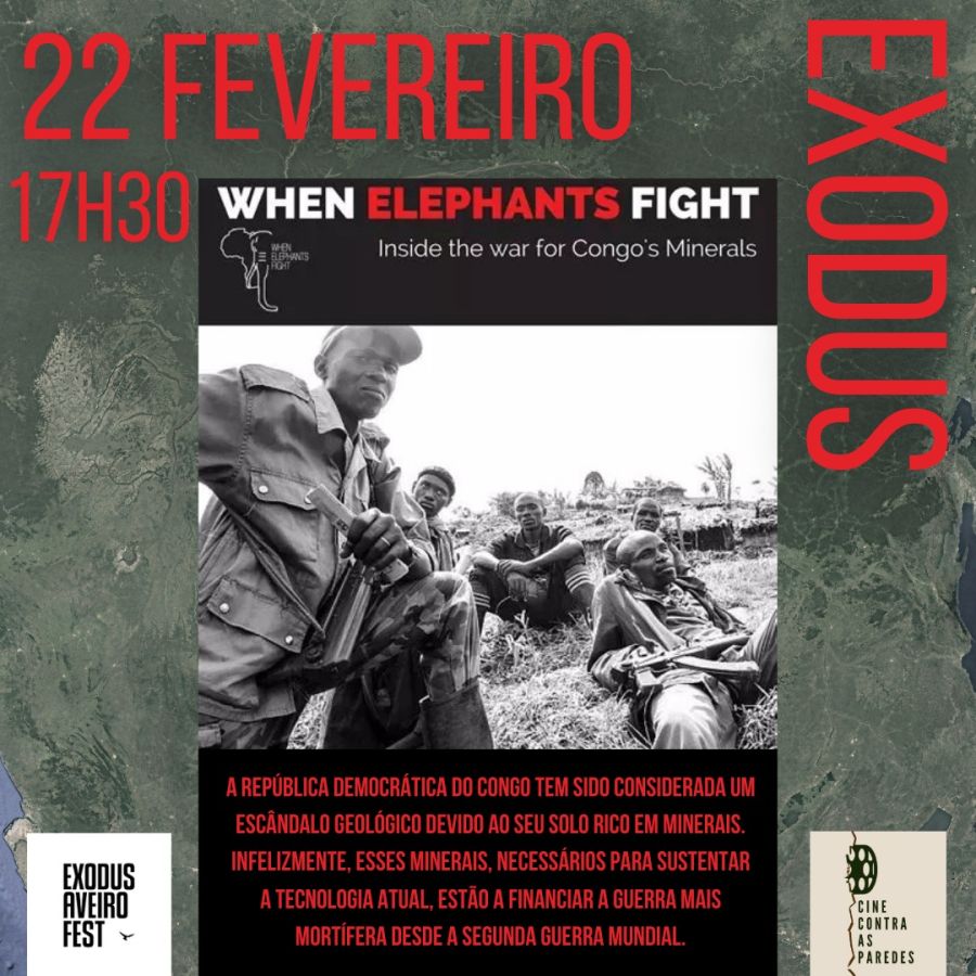 When Elephants Fight – Filme e conversa