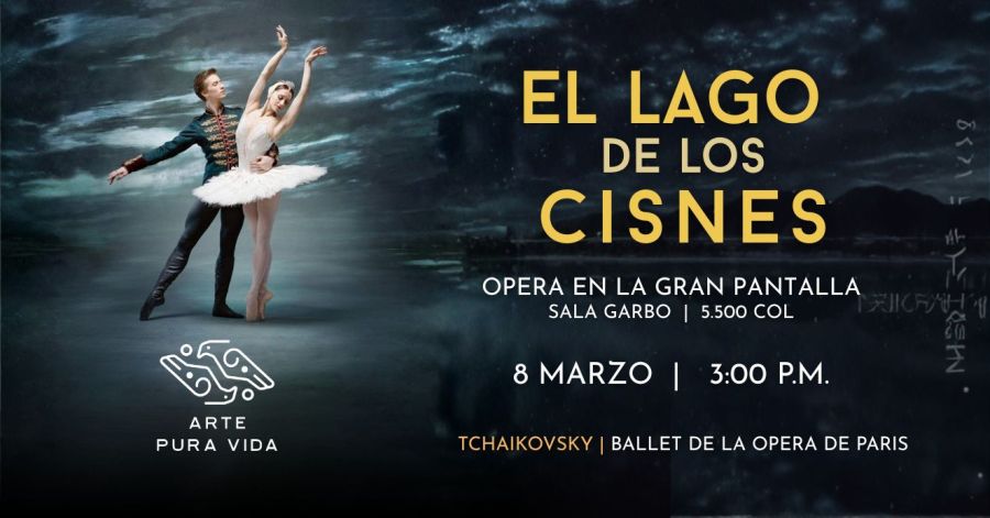 El Lago De Los Cisnes