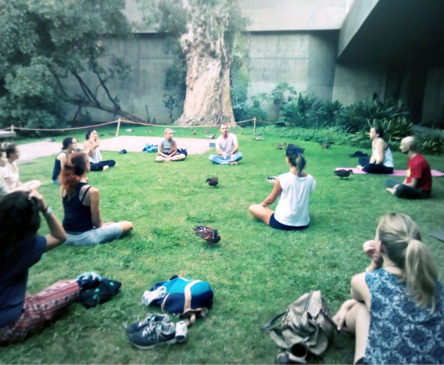 Yoga + Meditation in the Park — Free Sessions