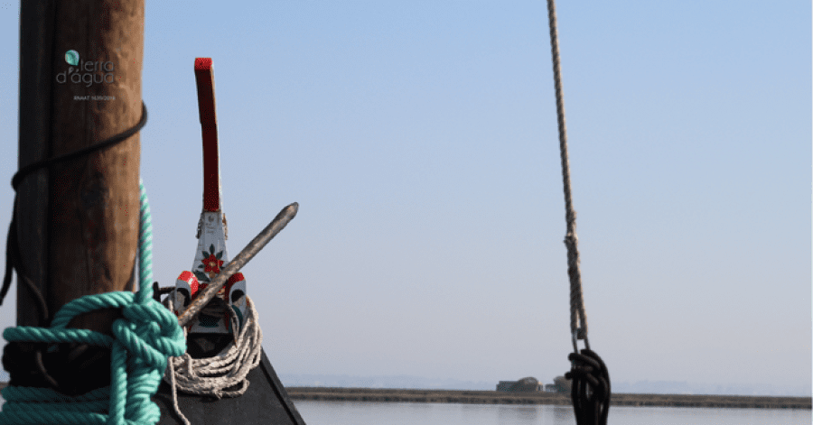 Passeio de Barco Moliceiro em pleno coração da Ria de Aveiro