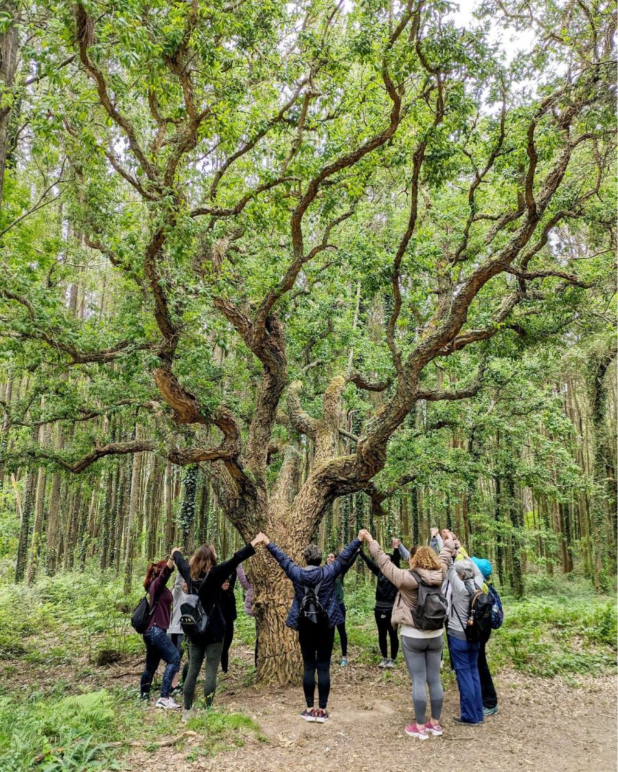 Caminhada para Mulheres e Experiência com Cacau