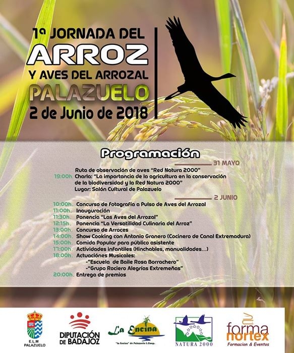 1ª Jornada del Arroz y Aves del Arrozal || Palazuelo