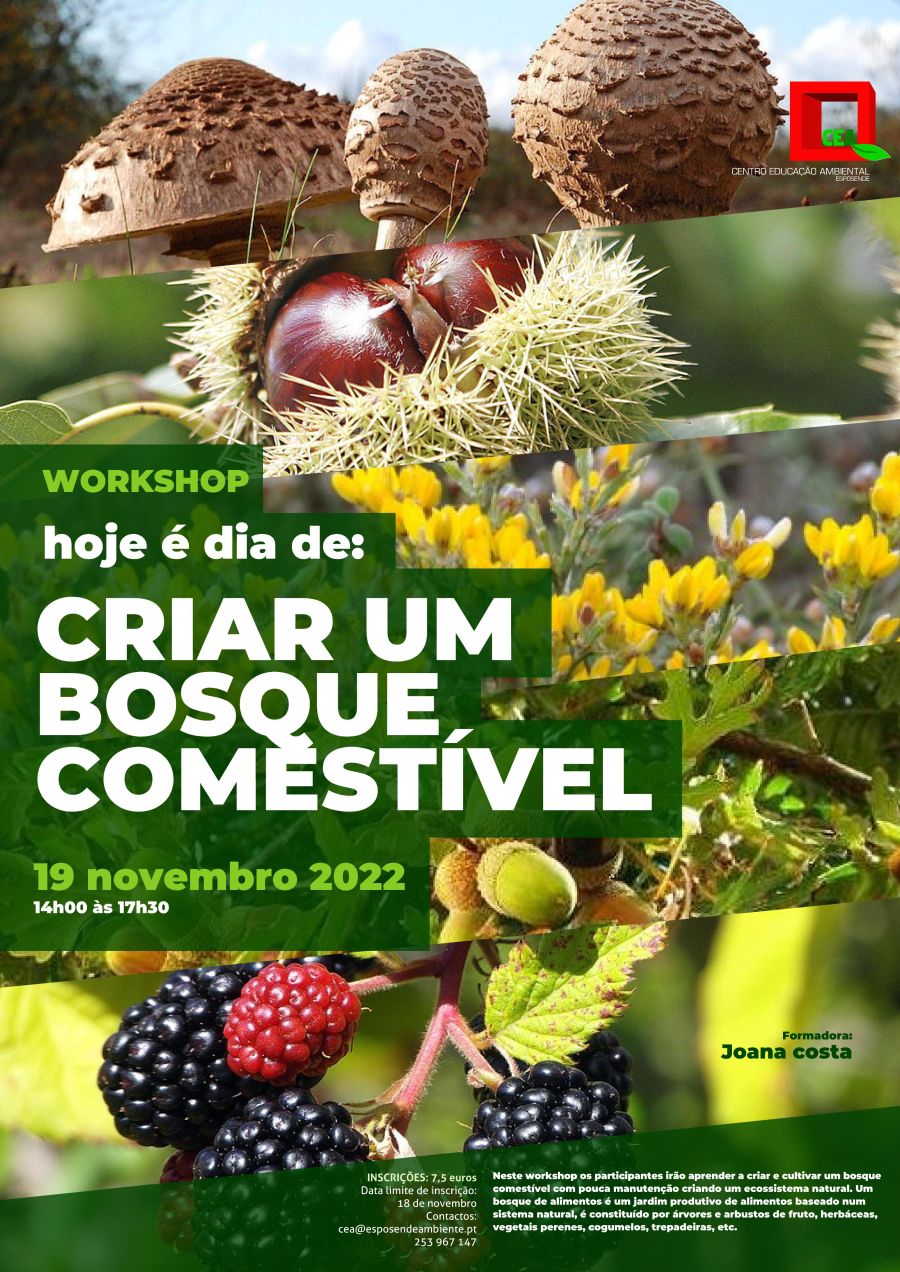 Workshop 'hoje é dia de: Criar um bosque comestível'