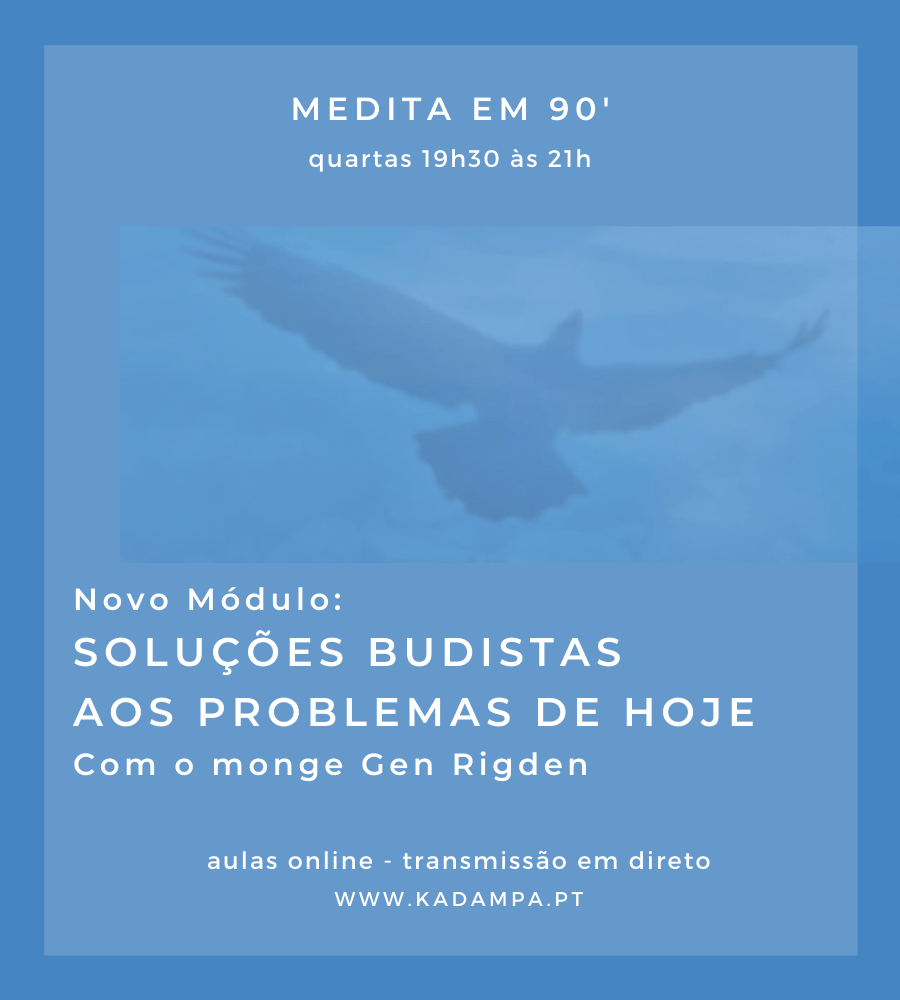 Medita em 90': Soluções Budistas aos Problemas de Hoje