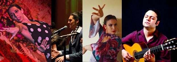 Día internacional del flamenco. Noche de tapas. Varios artistas