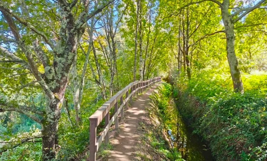 Trilho das levadas e moinhos de Jugueiros