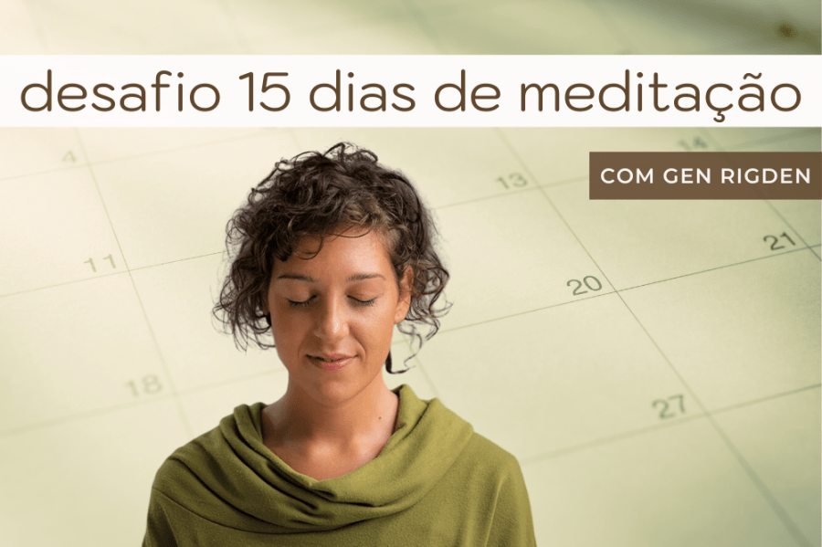 DESAFIO 15 Dias de Meditação