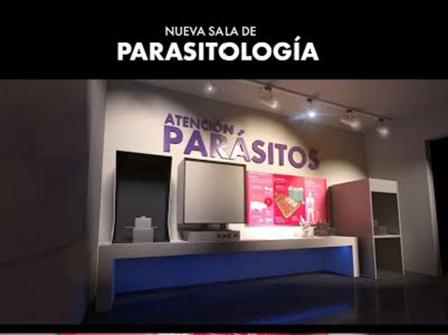 MUVET | Inauguración nueva sala sobre la parasitología
