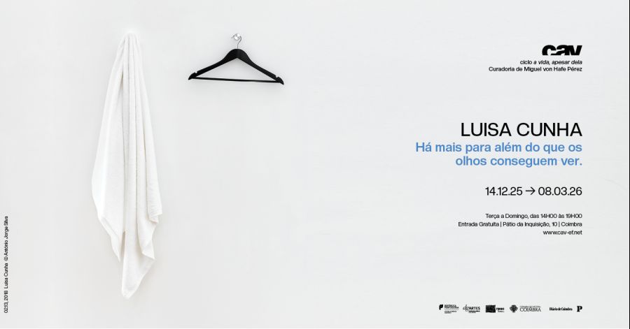 'Há mais para além do que os olhos conseguem ver' — Luisa Cunha