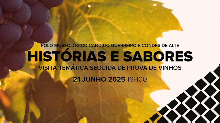 HISTÓRIAS E SABORES - Visita temática seguida de prova de vinhos 