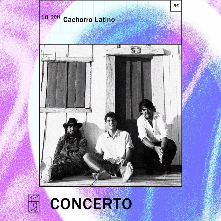 Concerto live - Cachorro Latino 