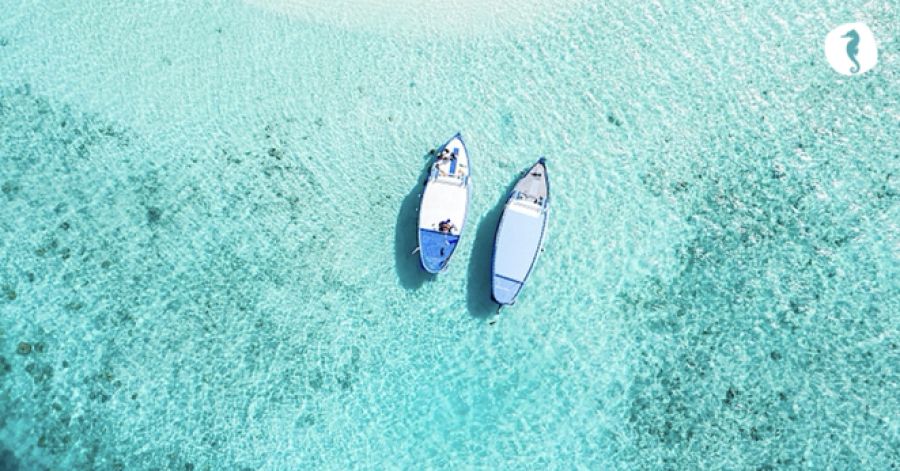 Biodanza - Curso Semanal de Iniciação