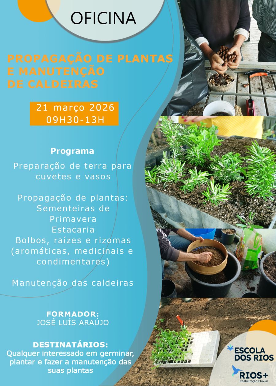 Celebração do dia mundial da árvore | Oficina de propagação de plantas e manutenção de caldeiras