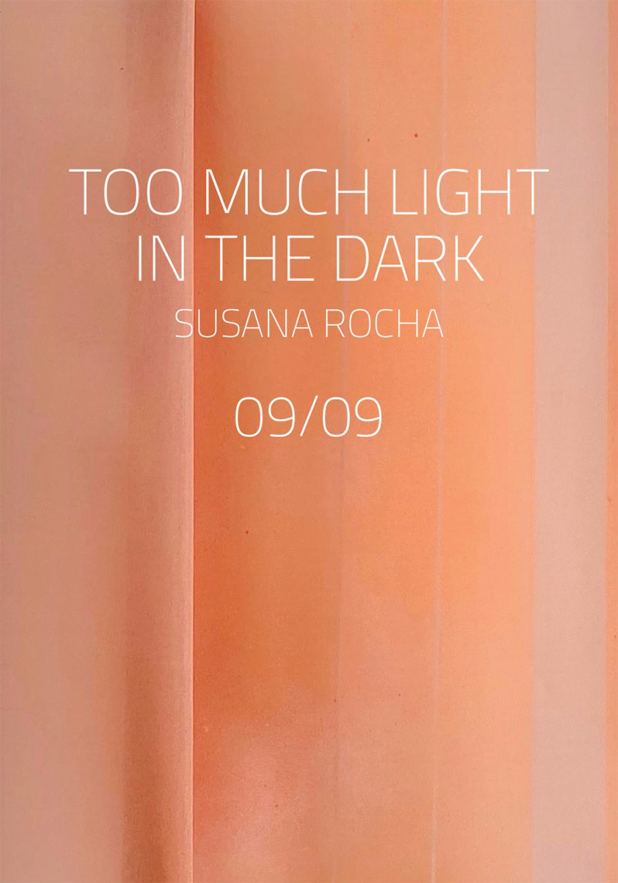 TOO MUCH LIGHT IN THE DARK de Susana Rocha