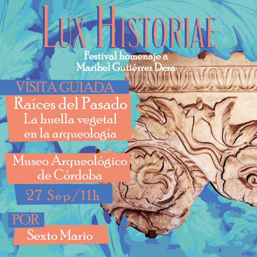 Raices Del Pasado. La Huella Vegetal en la arqueología