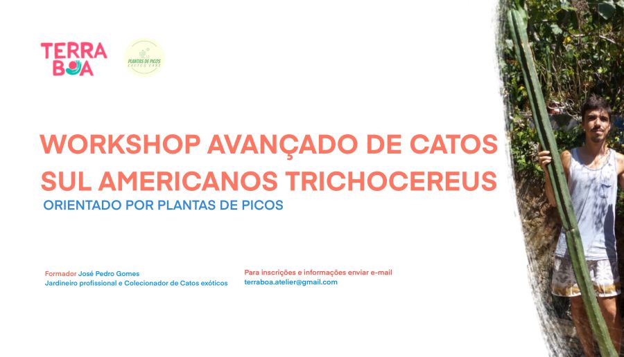 WorkShop Avançado de Catos Sul Americanos Trichocereus 