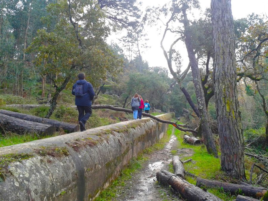 'Caminhada na Fonteireira, Serra da Carregueira - 13 de Abril de 2025