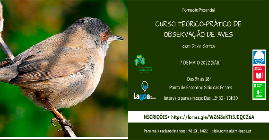 Curso Teórico-Prático de Observação de Aves | David Santos
