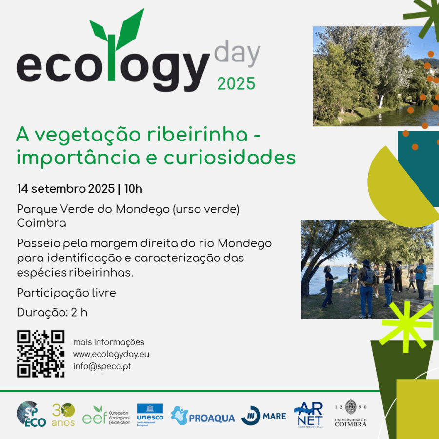 A vegetação ribeirinha – importância e curiosidades