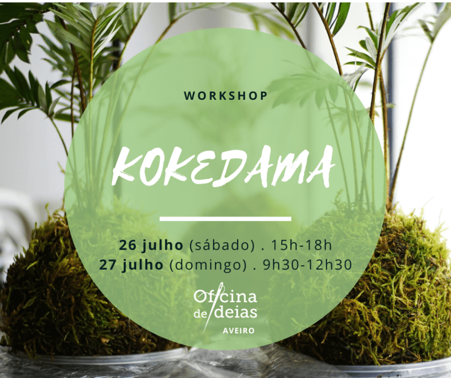 Workshop Kokedama