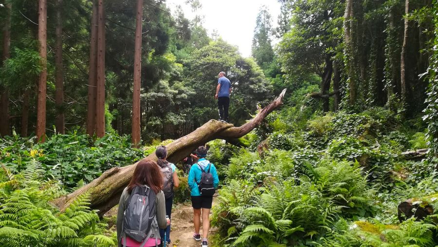 Caminhar nas Ilhas das Flores e Corvo - 20 a 24 Agosto de 2025