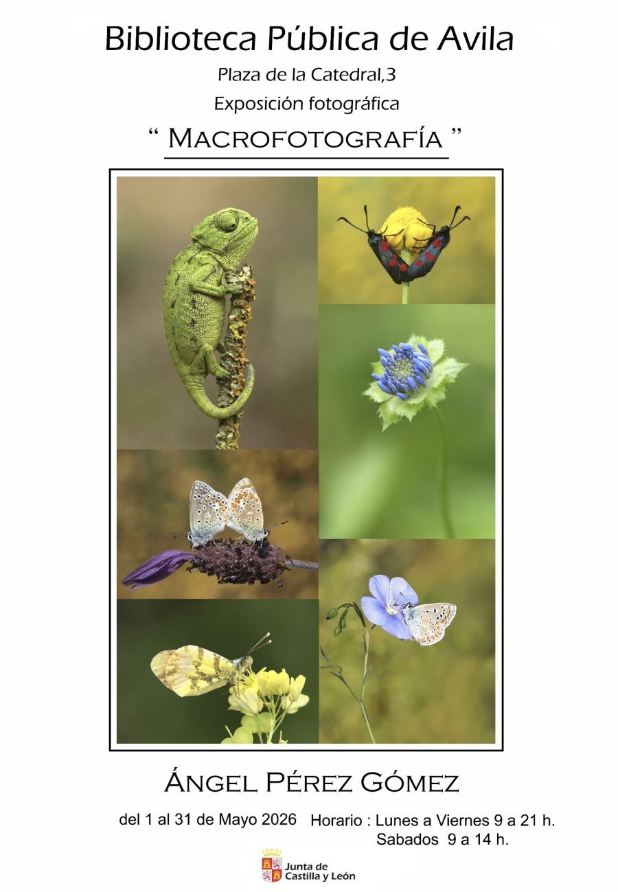 Exposición: 'Macrofotografía'