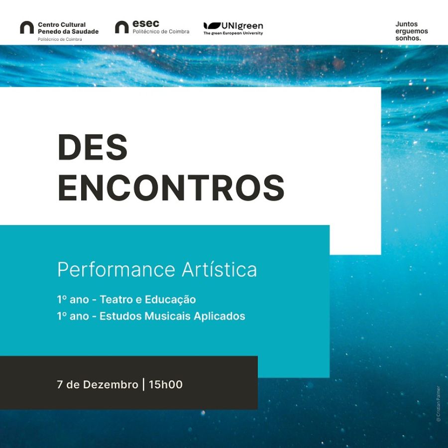 Performance Artística | (DES)ENCONTROS