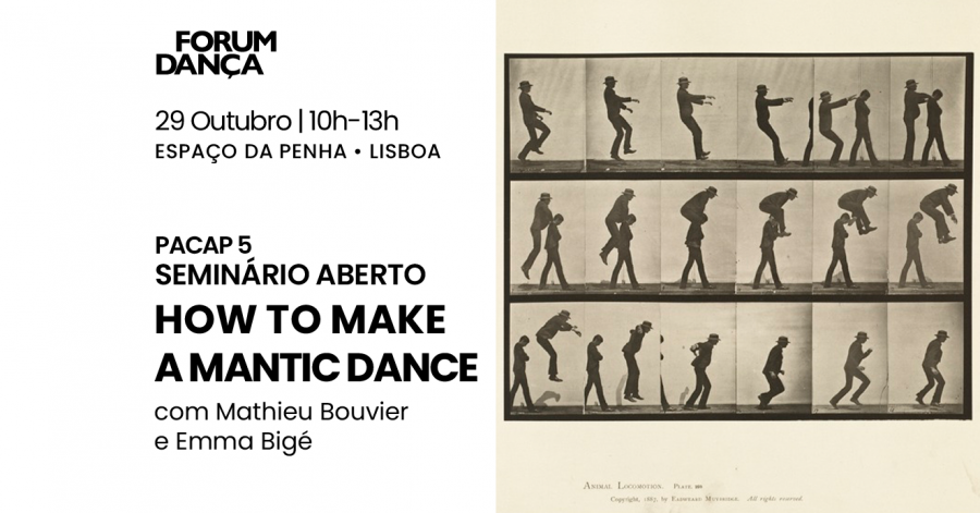 Seminário aberto PACAP 5 | How to make a mantic dance, com Mathieu Bouvier e Emma Bigé