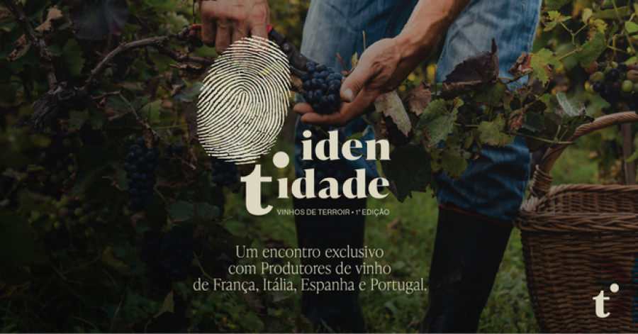 IDENTIDADE - Vinhos de Terroir