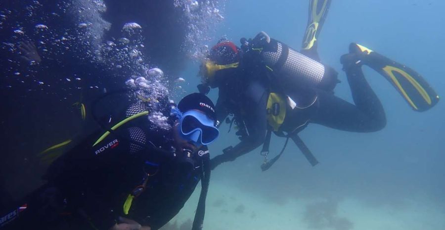 Experimente mergulhar no Parque Natural da Arrábida / Reserva Marinha
