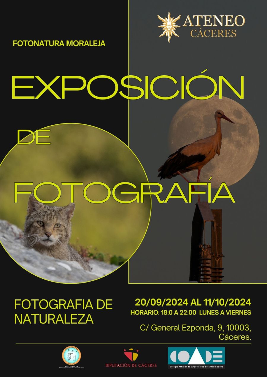 EXPOSICIÓN FOTONATURA 