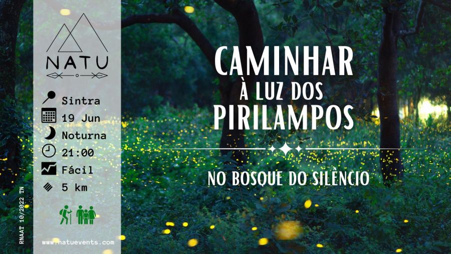 Caminhar à Luz dos Pirilampos | Sintra 