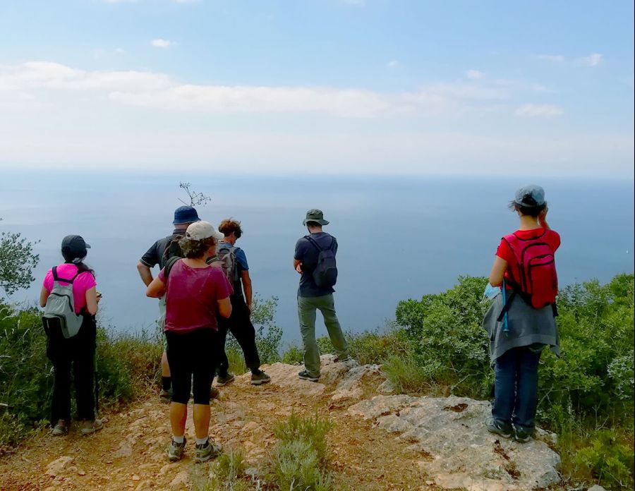 Caminhada com subida ao Formosinho e degustação bio - 8 de Dezembro de 2024