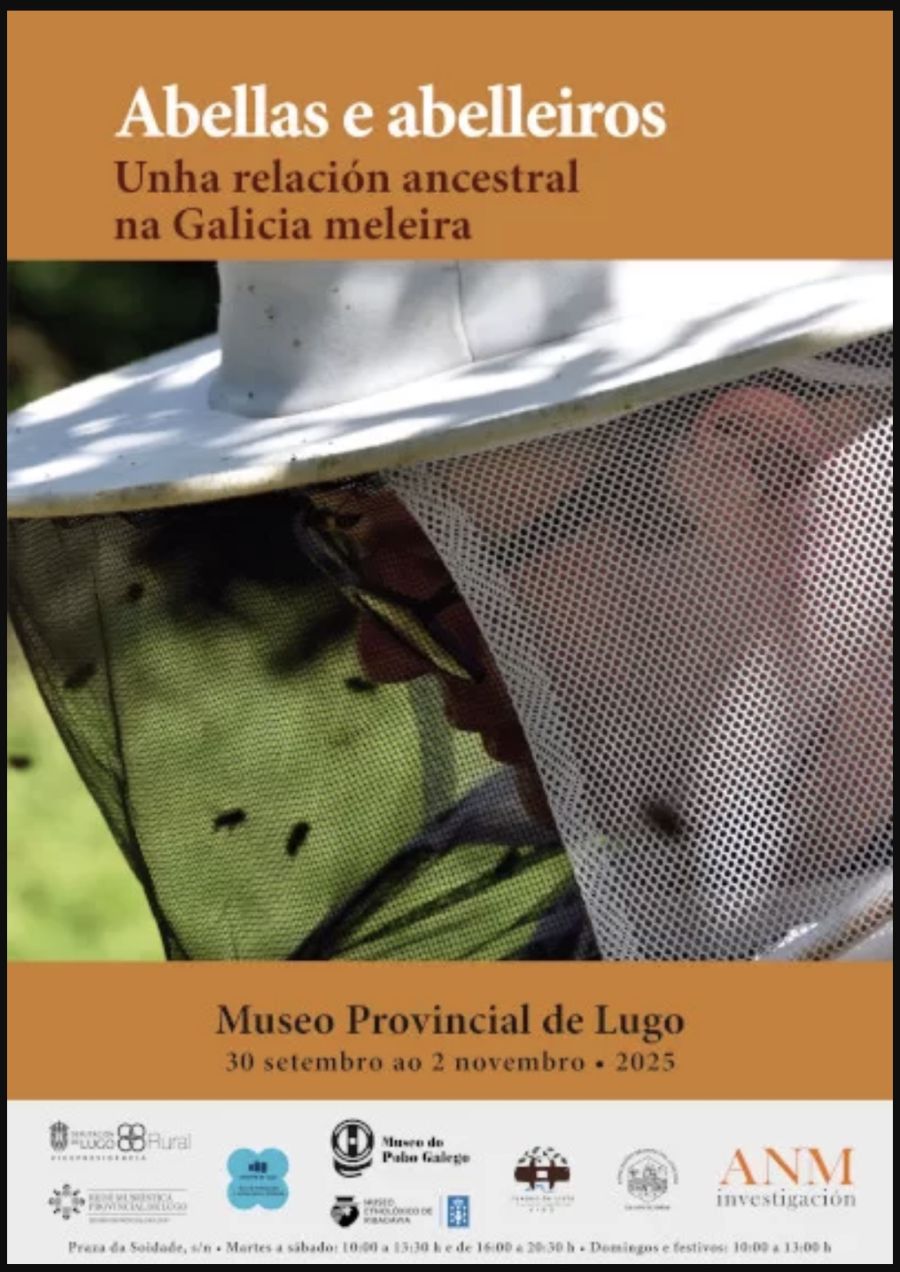 EXPOSICIÓN | Abellas e abelleiros una relación ancestral na Galicia meleira