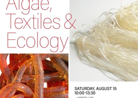 Algae, Textiles, and Ecology: Making Yarn from Seaweed
