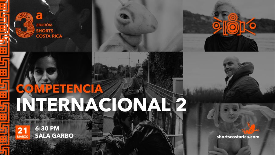 Competencia Internacional - Función 2