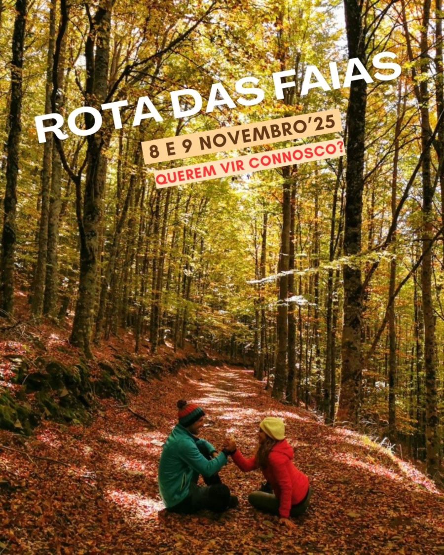 Fim de Semana - Rota das Faias