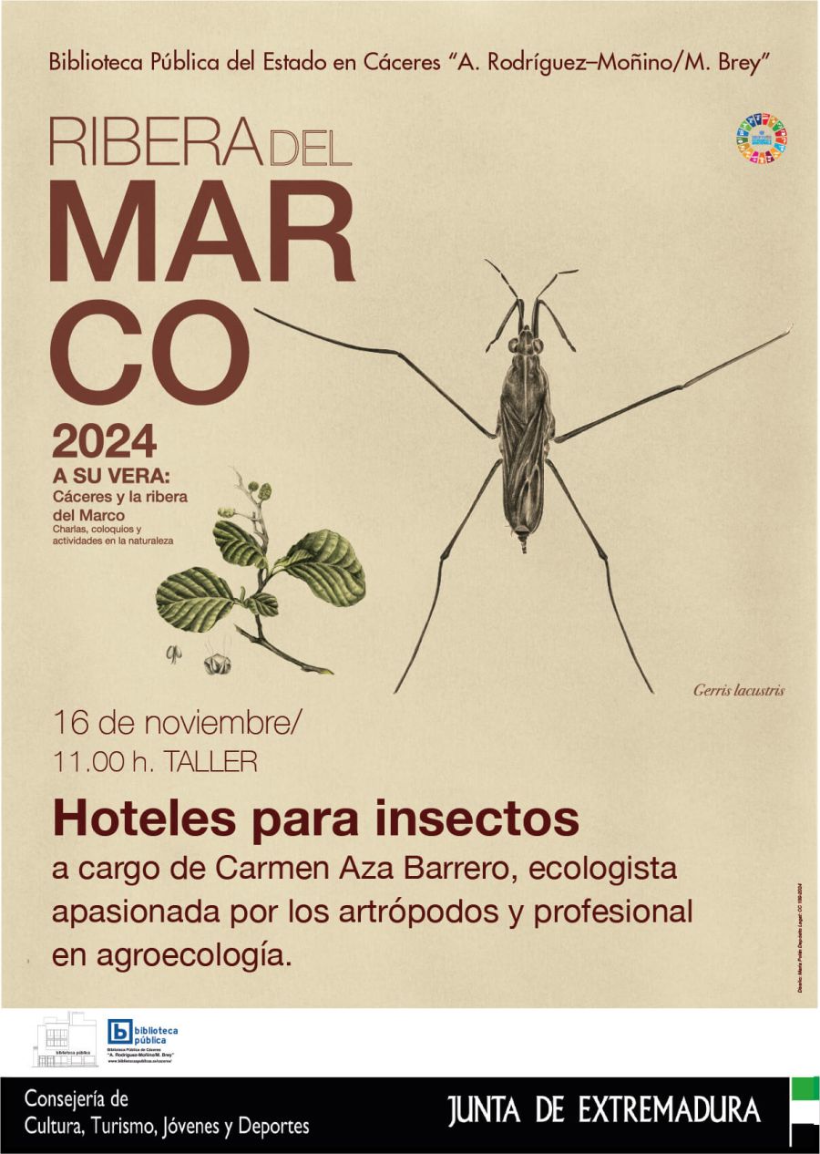 Taller de creación de Hoteles para Insectos