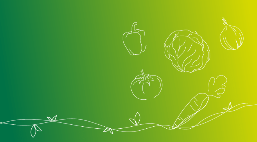 Culturas Hortícolas de Primavera / Verão: famílias, cuidados e história