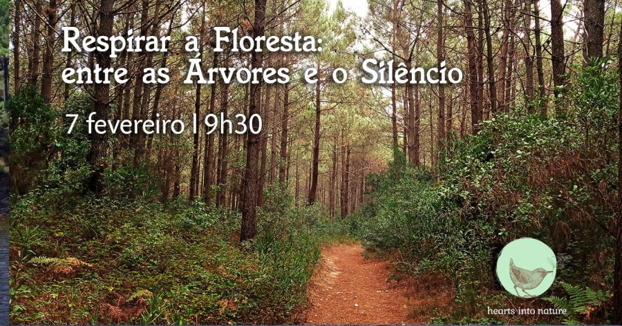 Respirar a Floresta: entre as Árvores e o Silêncio
