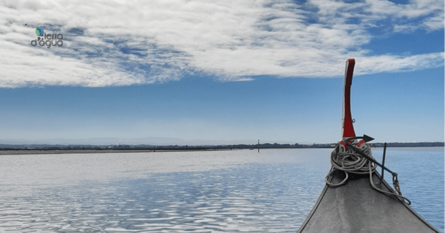 Passeio de Barco Moliceiro em pleno coração da Ria de Aveiro