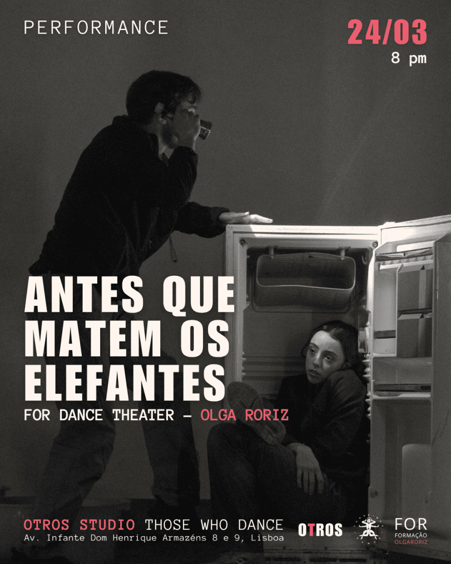 ANTES QUE MATEM OS ELEFANTES | FOR OLGA RORIZ X OTROS