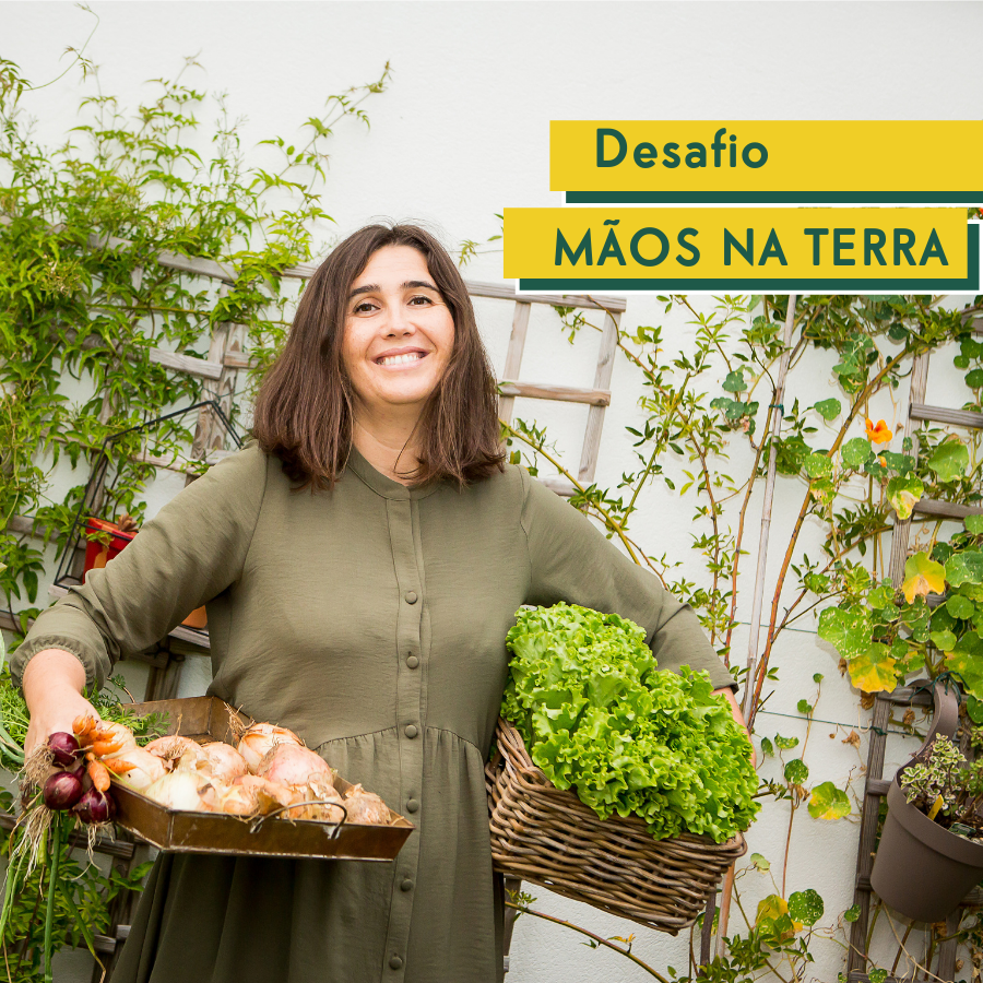 Desafio Mãos na Terra