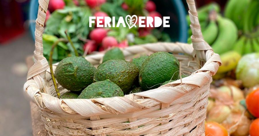 Feria Verde Organica