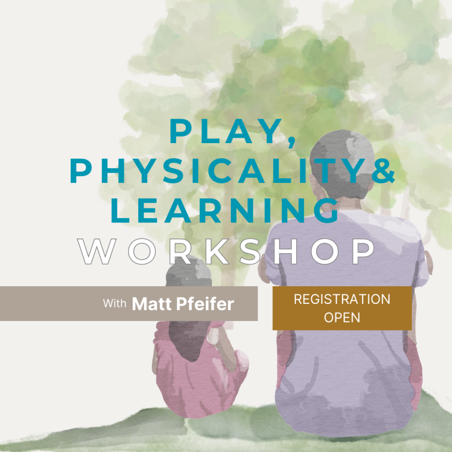 Play, Physicality and Learning Workshop 