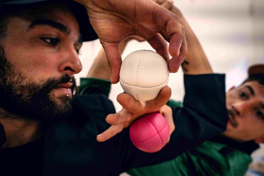 [Nos próximos dias 29 e 30 de novembro]  Erva Daninha Mostra Estufa onde cresce circo contemporâneo num ‘Campo Alegre’