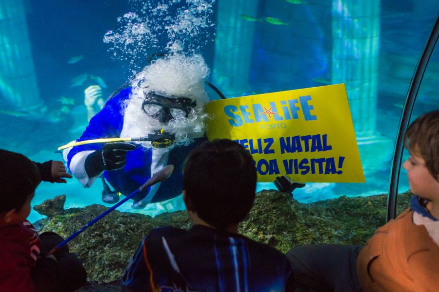 Pai Natal dos Oceanos cumpre tradição e mergulha no SEA LIFE Porto