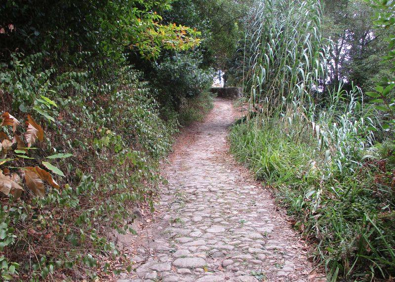 Caminhando na Serra de Sintra: Penedos e Miradouros