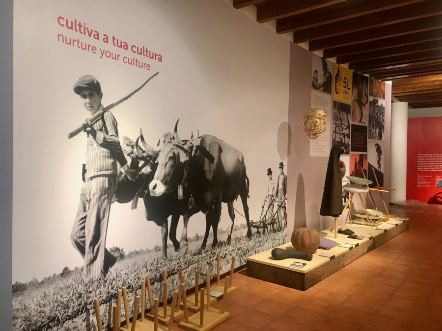 Exposição Agricultura Lusitana patente no Museu Etnográfico Louzã Henriques